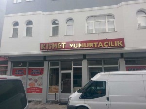 Altın Krom Harf Tabela İşi - Erzurum Kısmet Yumurtacılık - 1
